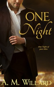 One Night Book Cover
