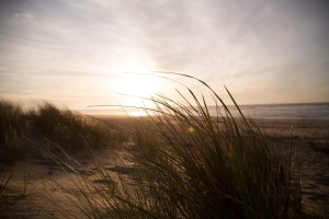 beach-690455_1280