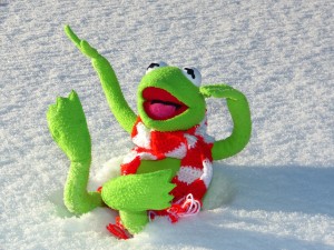 kermit-70116_1280